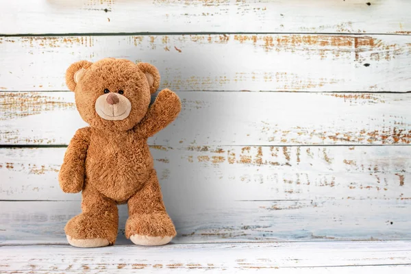 Schattige teddybeer — Stockfoto