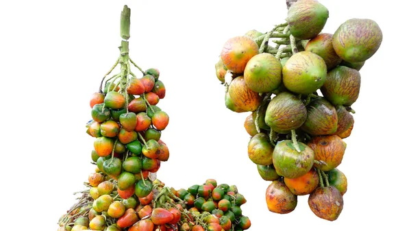 Brzoskwiniowy Owoc Palmy Wiejskich Targach Kostaryce — Zdjęcie stockowe