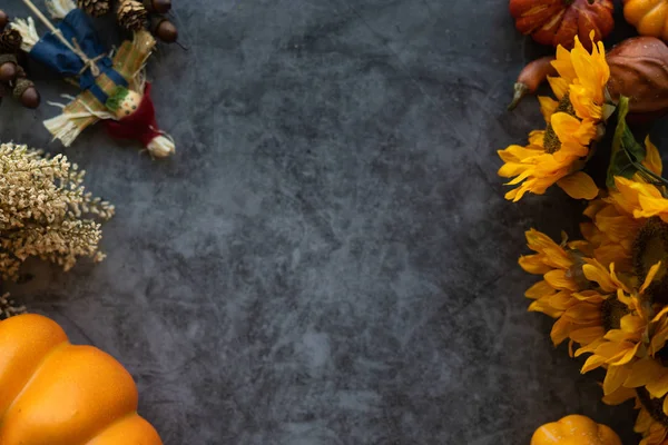 Thanksgiving background with pumpkins, flowers and scarecrow on a grey cement background.