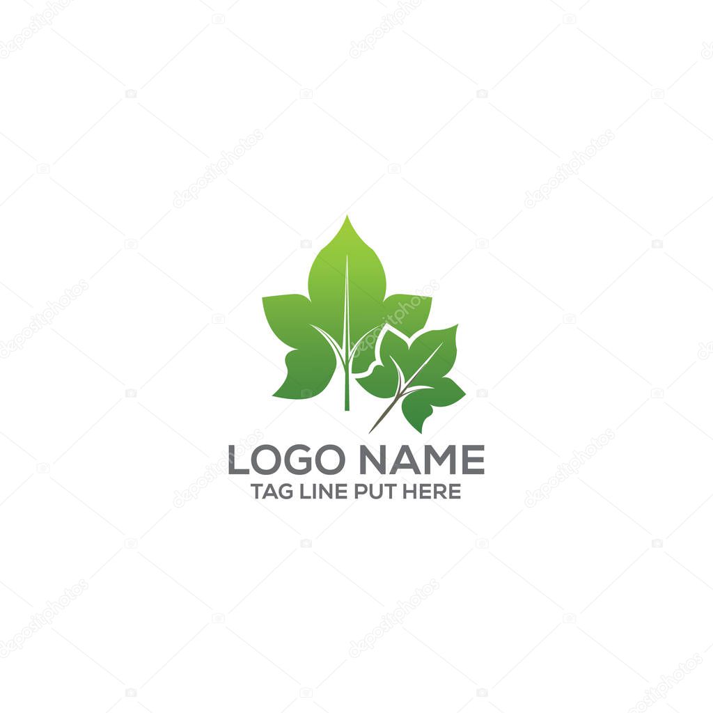 Ivy leaves logo design template vector eps for ecological company, business Or industry purpose ready to use