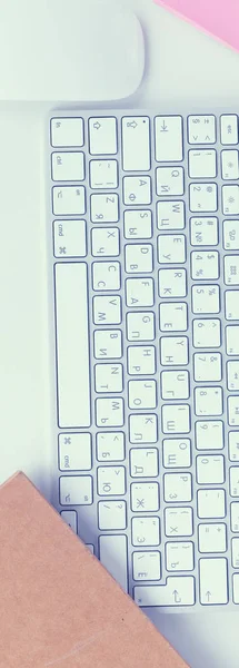 Computador portátil branco moderno com planta — Fotografia de Stock