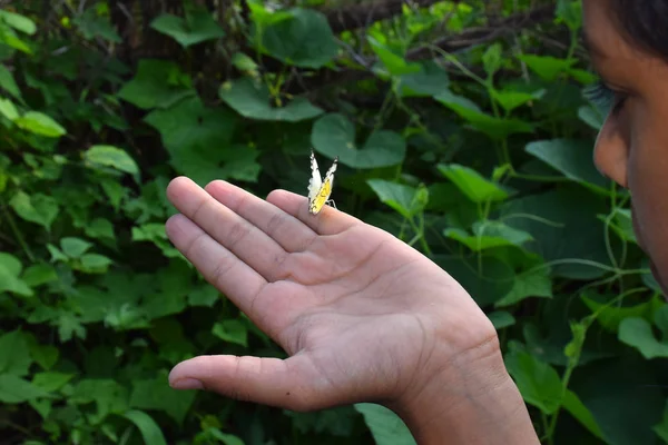 Butterfly on hand in jungle — Stock Photo, Image