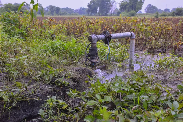 Helder zoet en gezond water overlopen uit de buis goed op regenachtige dagen, achtergrond van gedroogde soja plant in het veld, — Stockfoto