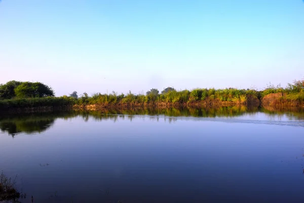 Bel Étang Ciel Bleu Avec Verdure Vue Matin — Photo