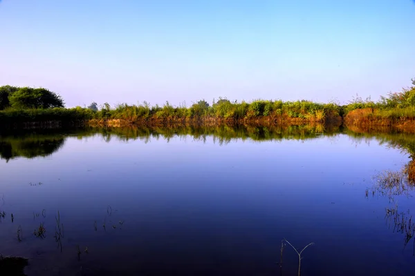 Bel Étang Ciel Bleu Avec Verdure Vue Matin — Photo