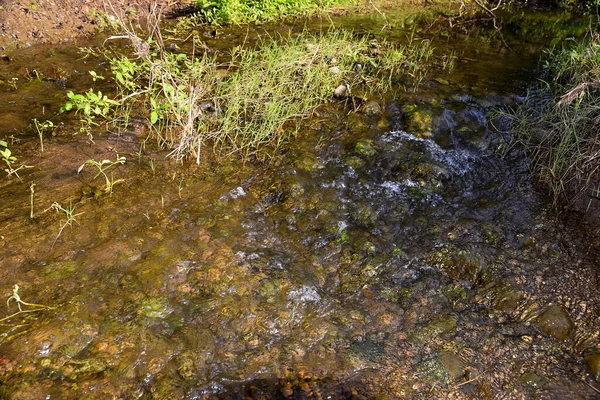 Water Flowing River Rain Rays Sun Reading Moss Stones — Stock Photo, Image