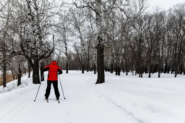 Χειμερινό τοπίο με cross-country σκι πίστες, Χειμώνας δάσος — Φωτογραφία Αρχείου