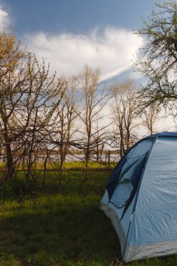 Ağaç yakınındaki ormanda bir açıklıkta turist çadır duruyor. Yaz aylarında kamp Turizm