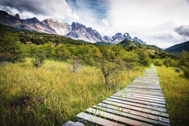 Torres del Paine Milli Parkı'nda Seron ve Dickson arasındaki O-trek'in bir parçası. Paine dağlarının arka planında ahşap patika.
