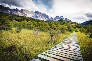 Part of O-trek between Seron and Dickson in Torres del Paine national park. Wooden pathway on the background of Paine mountains. clipart