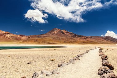Atacama çölünde parlak güneşli bir günde Laguna Miscanti görünümü, Şili.