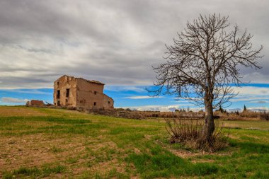 peyzaj ağacı eski ev