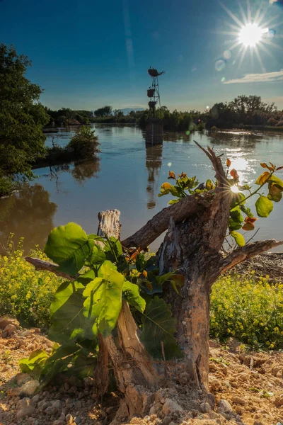 Sunset Storks & de rivier — Stockfoto