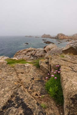 Fransa'da Plougrescant pembe granit sahil Plajı