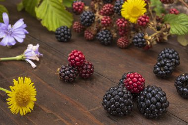 çiçekli siyah ve kırmızı meyveler