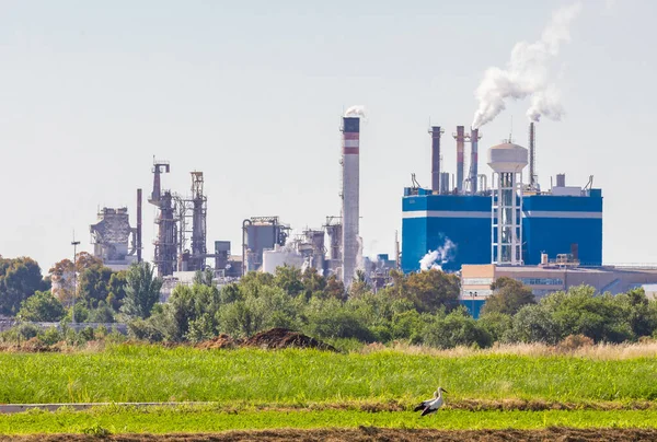 couple of storks in a meadow, in the background a factory pollutes the environment by fuming and threatens its habitat