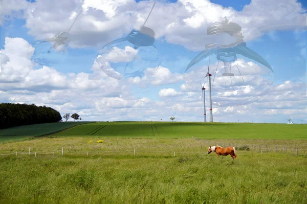 Light bulbs on string with light shimmering through the blue sky. Healthy Horse In Pasture. Wind turbines in green field landscape. alternative energy. Green energy. Energy efficiency saving concept.