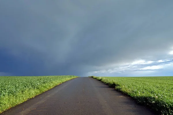 road in the middle of green fields or grassland before the rain dark clouds hang over a rural, field, road in Europe, in the middle of a green field