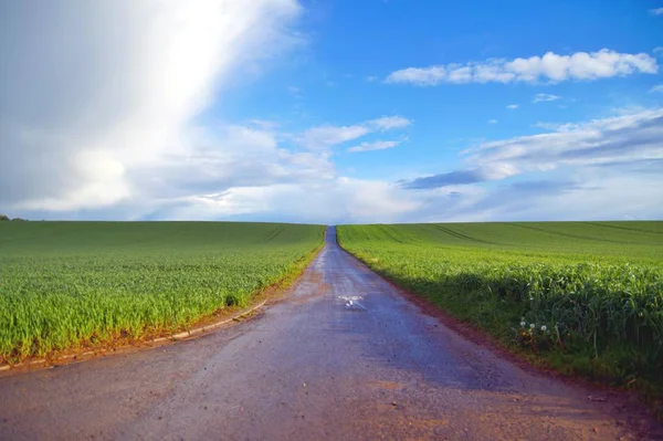 road in the middle of green fields or grassland, clouds hang over a rural, field, road in Europe, in the middle of a green field