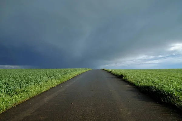 road in the middle of green fields or grassland, before the rain dark clouds hang over a rural, field, road in Europe, in the middle of a green field