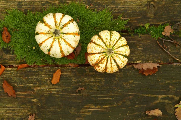 pumpkin in fall on a table. Orange halloween pumpkins on wooden planks, natural Rotted boards covered with moss and dry leaves background. holiday decorations, flat lay