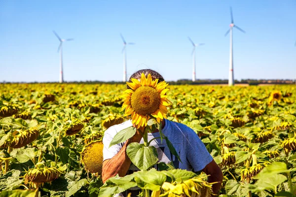 Summer landscape against a light blue sky. anonymity. man standing in a Yellow field of flowers of sunflowers with yellow head of sunflower covering his face. wind turbines background
