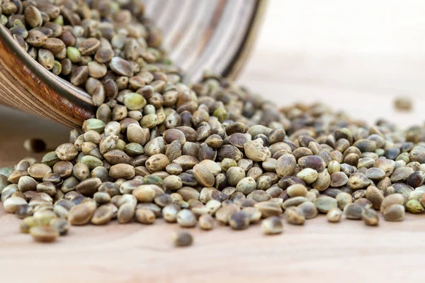 Hemp Seeds Spilled From bowl on wooden table. cannabis medical concept. Hemp seeds are rich in healthy fats and essential fatty acids