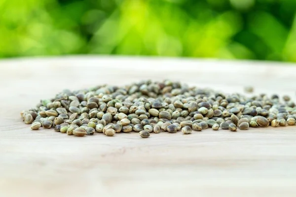 Heap of Hemp Seeds on wooden table with green Hemp plant background. hemp plant herbal pharmaceutical. Hemp seeds are rich in healthy fats and essential fatty acids