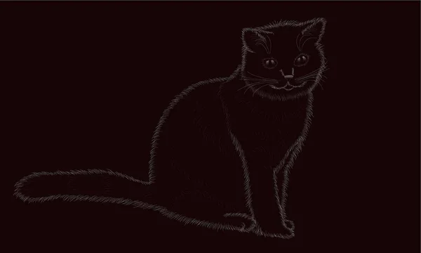 Illustration sketch of love pet on black backgraund