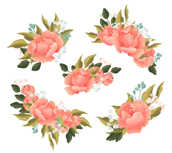 一套漂亮的粉红色玫瑰花卉元素的设计模板与绿叶娇嫩的浆果和夏天的花朵隔离在白色 — 图库矢量图片