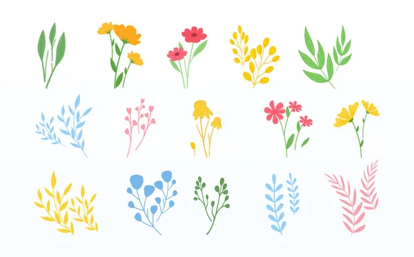 Colección de hierbas y flores silvestres en blanco — Vector de stock