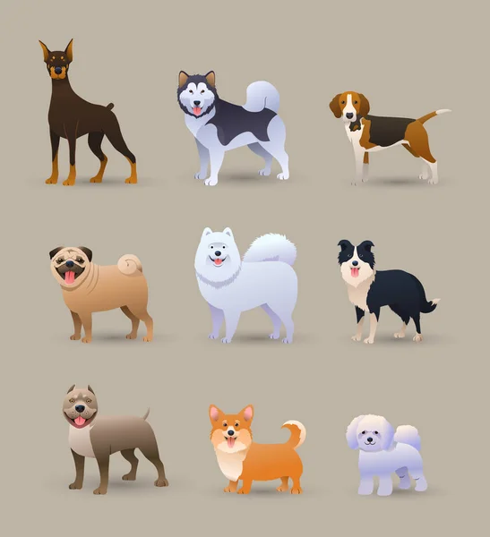 Conjunto de nove raças de cães diferentes —  Vetores de Stock