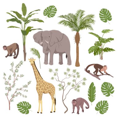 Bir grup orman hayvanı ve tropik bitki örtüsü.