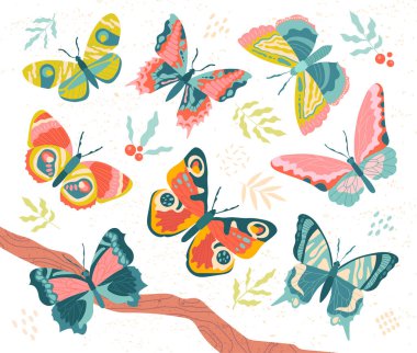 Beyaz renkte izole edilmiş zarif kelebek koleksiyonu.