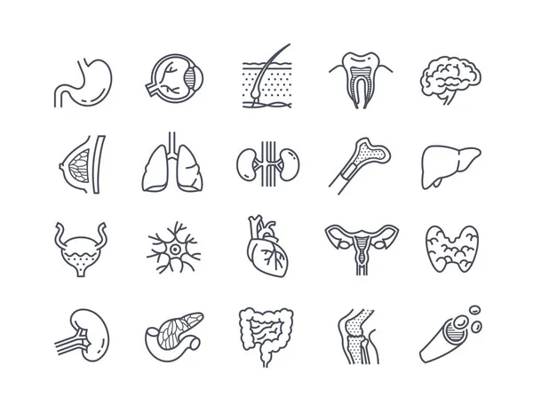 Grande conjunto de ícones em preto e branco de órgãos humanos —  Vetores de Stock