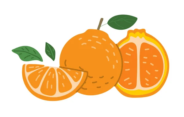 Laranja e laranja fatias — Vetor de Stock