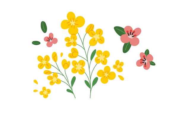 Flores silvestres brillantes aisladas sobre un fondo blanco — Vector de stock