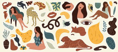 El yapımı kedi, tilki, yılan, kadın, bitki