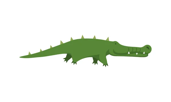 Karikatur Krokodil isoliert auf weißem Hintergrund — Stockvektor