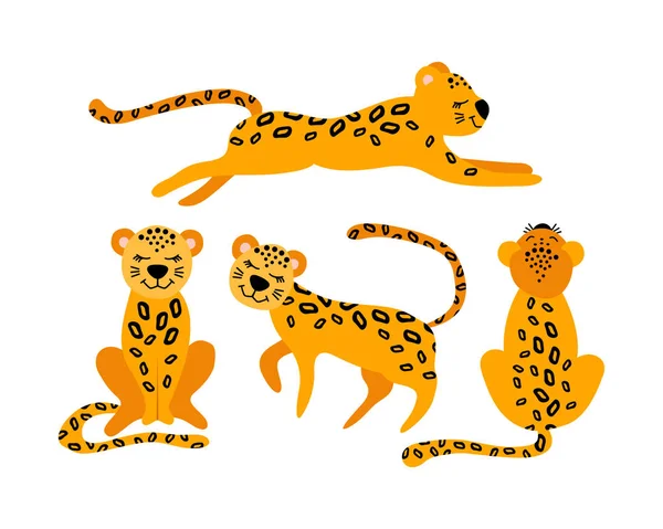 Conjunto de leopardos de dibujos animados. — Archivo Imágenes Vectoriales