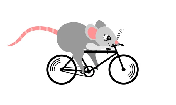 Linda rata de dibujos animados montando una bicicleta — Vector de stock