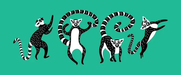 Yeşil arka plan üzerinde siyah ve beyaz lemurseti