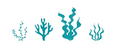 Beyaz arkaplanda yosun koleksiyonu izole edildi