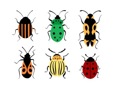 Böcekler elle çizilmiş koleksiyon