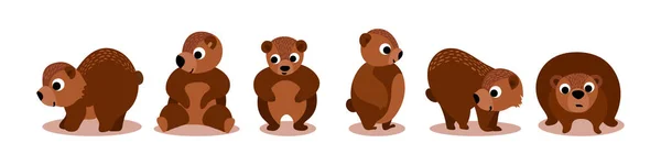 Carino cartone animato collezione di orsi — Vettoriale Stock