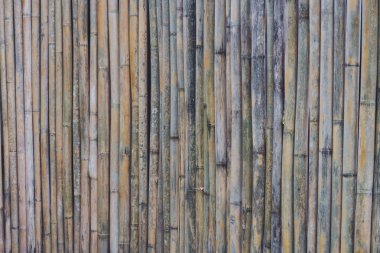 Bambu duvar arka plan dokusunu yakınlatın, tasarım metni veya resimleri için boş alan