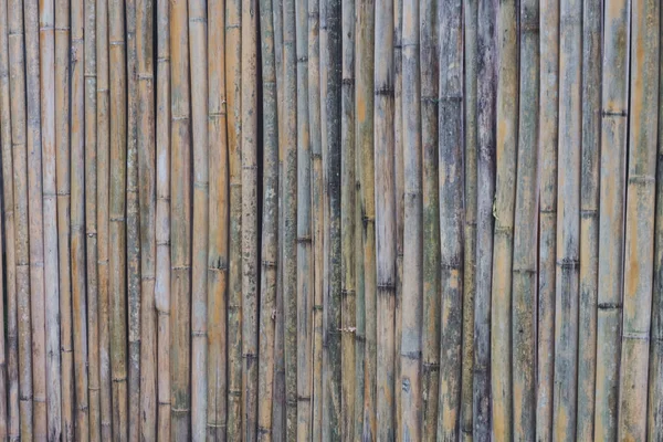 Primer plano de la textura de fondo de pared de bambú, espacio libre para texto de diseño o imágenes —  Fotos de Stock