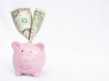 dolar banka notu ile pembe kumbara, gelecek planı ve emeklilik fonu kavramı için para tasarrufu