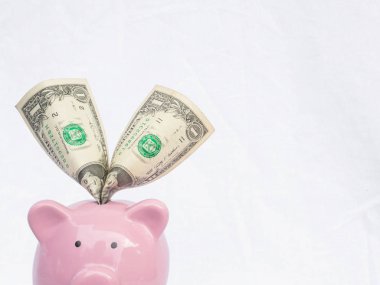 dolar banka notu ile pembe kumbara, gelecek planı ve emeklilik fonu kavramı için para tasarrufu