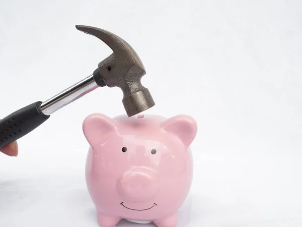 Hammer Aiming For pink Piggy Bank, ready for new investment in business concept — Stock Photo, Image